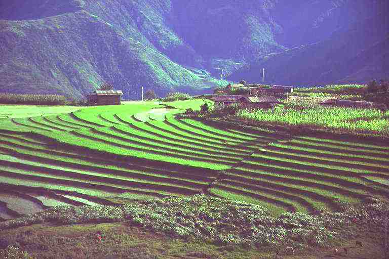 400068.jpg (56466 bytes)