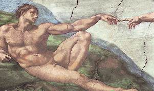 comp5.jpg (12602 bytes)